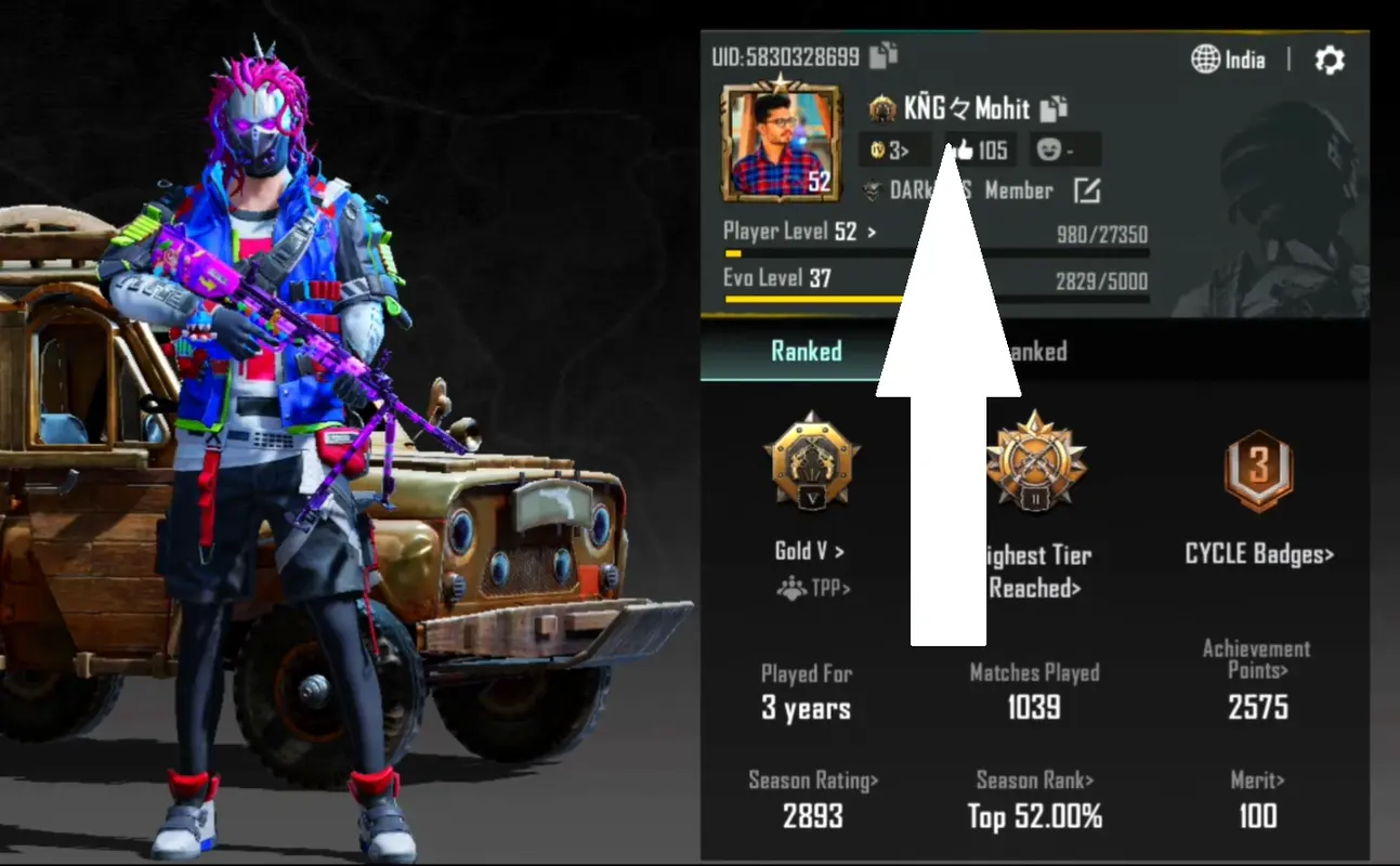 bgmi and pubg nickname